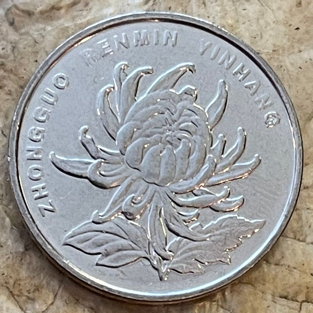 Chrysanthemum 1 Yuan China Authentic Coin Money for Jewelry and Craft Making (Peoples Republic of China) (Longevity)