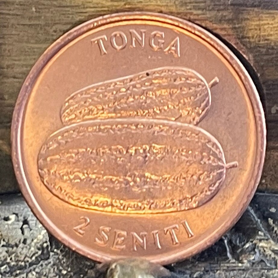 Watermelons 2 Seniti Tonga Authentic Coin Money for Jewelry and Craft Making (Family Planning)
