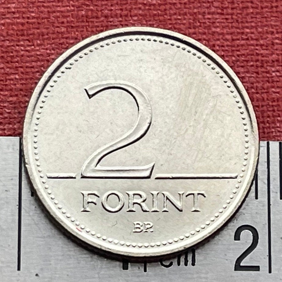 Hungarian Crocus 2 Forint Hungary Authentic Coin Money for Jewelry and Craft Making (Colchicum Hungaricum Janka)
