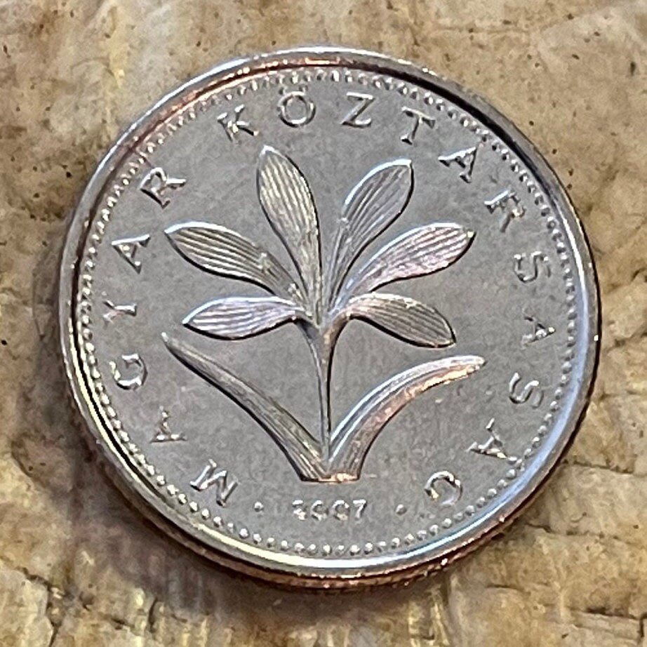 Hungarian Crocus 2 Forint Hungary Authentic Coin Money for Jewelry and Craft Making (Colchicum Hungaricum Janka)