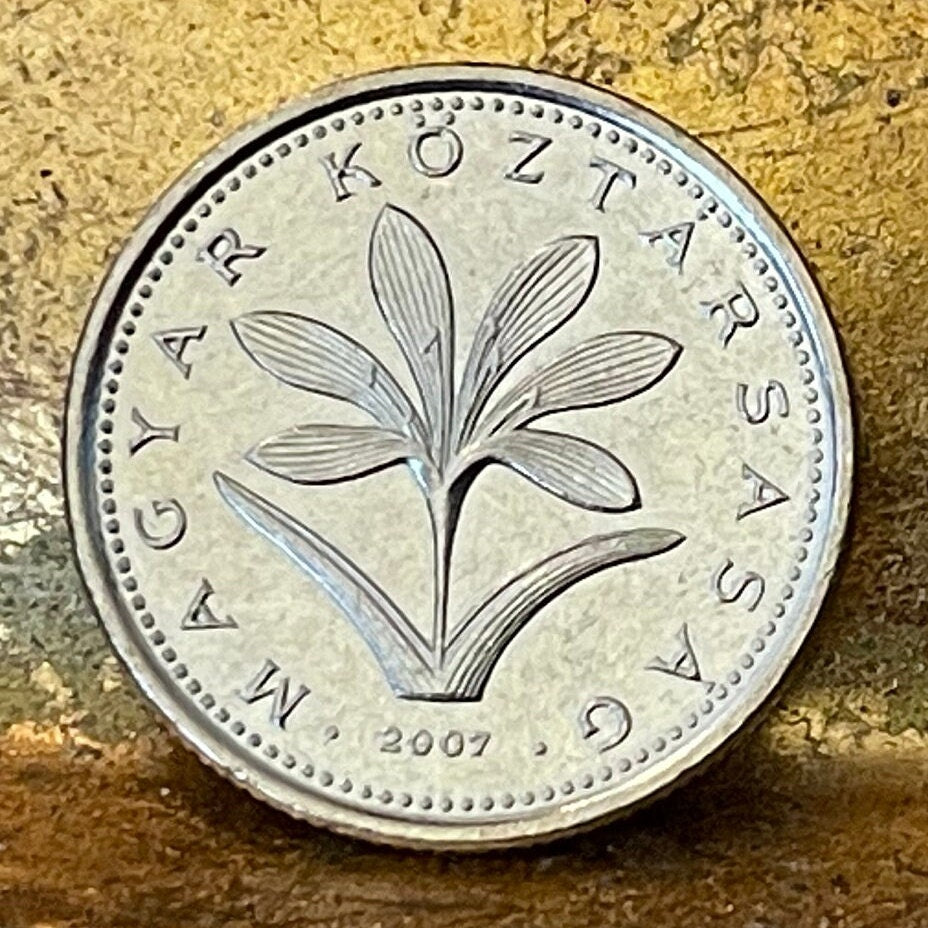 Hungarian Crocus 2 Forint Hungary Authentic Coin Money for Jewelry and Craft Making (Colchicum Hungaricum Janka)