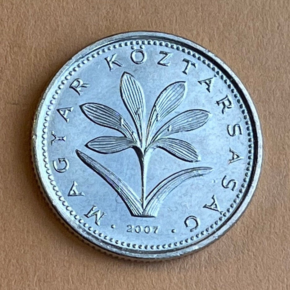 Hungarian Crocus 2 Forint Hungary Authentic Coin Money for Jewelry and Craft Making (Colchicum Hungaricum Janka)