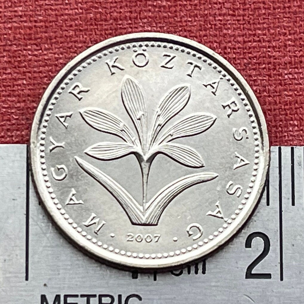 Hungarian Crocus 2 Forint Hungary Authentic Coin Money for Jewelry and Craft Making (Colchicum Hungaricum Janka)