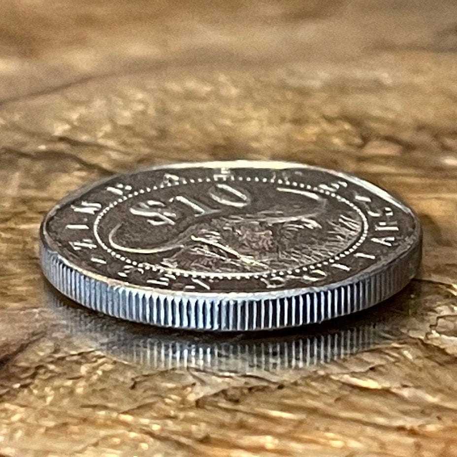 Cape Buffalo & Great Zimbabwe Bird 10 Dollars Zimbabwe Authentic Coin Money for Jewelry and Craft Making (Wild African Buffalo) (Shona)