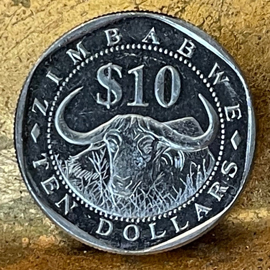 Cape Buffalo & Great Zimbabwe Bird 10 Dollars Zimbabwe Authentic Coin Money for Jewelry and Craft Making (Wild African Buffalo) (Shona)