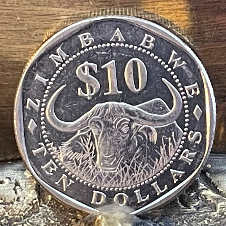 Cape Buffalo & Great Zimbabwe Bird 10 Dollars Zimbabwe Authentic Coin Money for Jewelry and Craft Making (Wild African Buffalo) (Shona)
