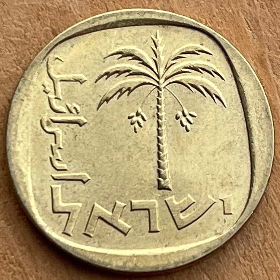 Date Palm 10 Agorot Israel Authentic Coin Money for Jewelry and Craft Making