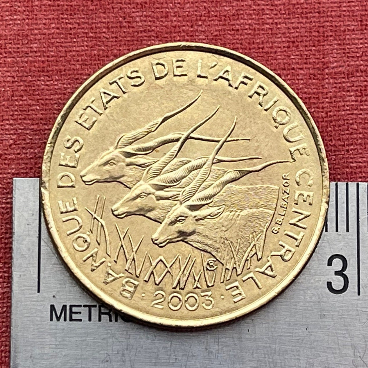 Giant Elands 25 Francs Central African States Authentic Coin Money for Jewelry and Craft Making (Lord Derby Eland) 2003