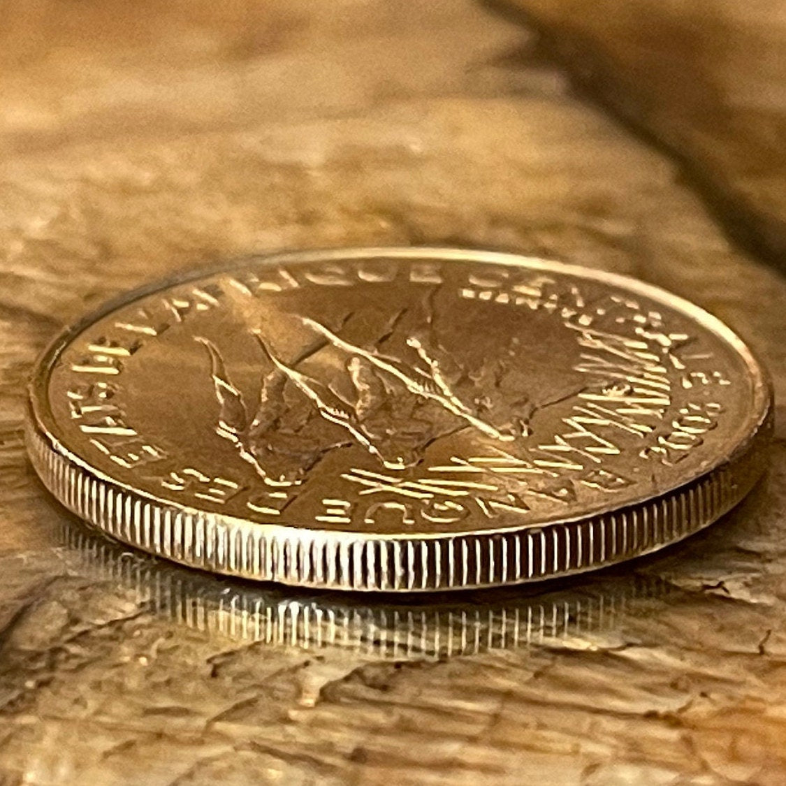 Giant Elands 25 Francs Central African States Authentic Coin Money for Jewelry and Craft Making (Lord Derby Eland) 2003