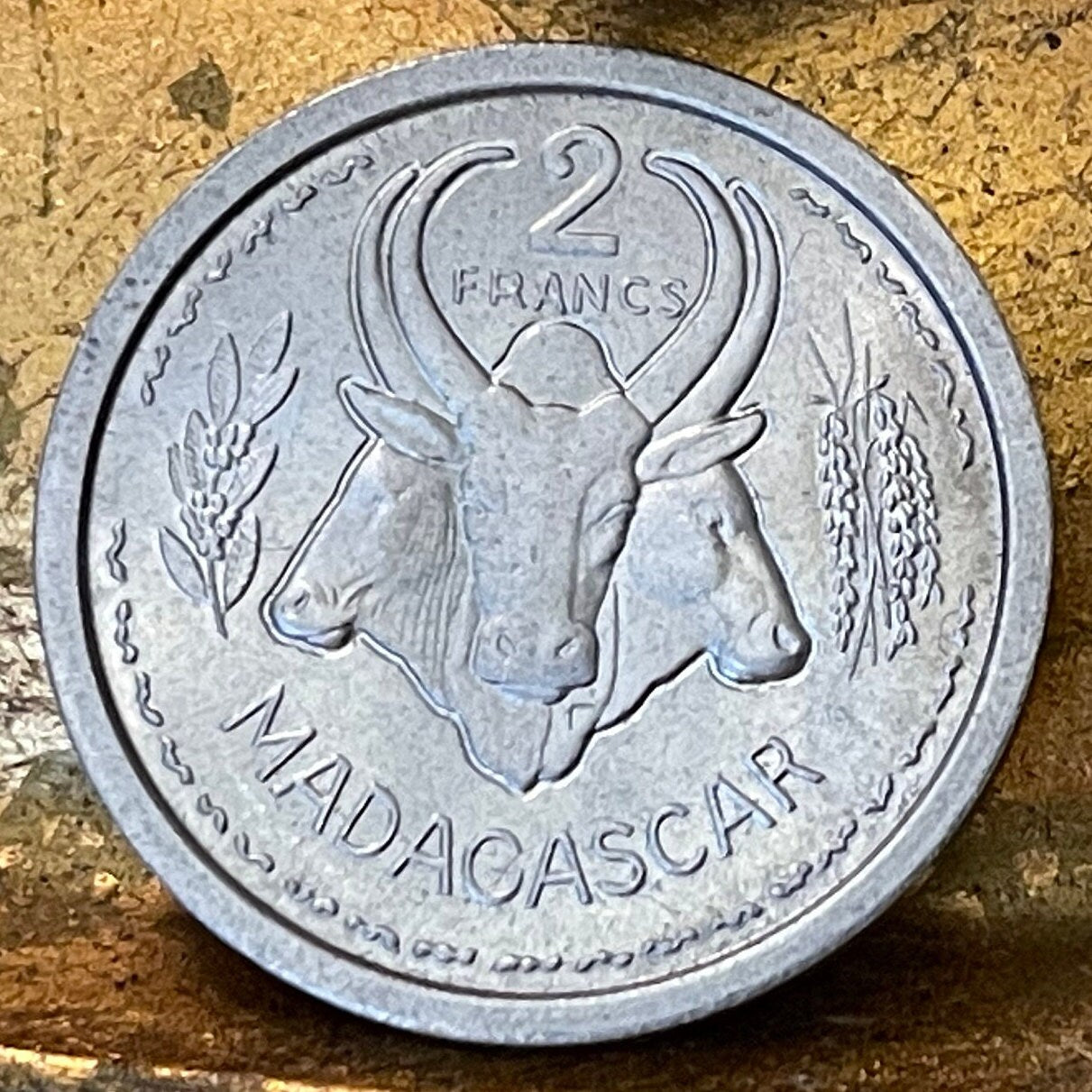 Three Zebu & Marianne in Winged Phrygian Cap 2 Francs Madagascar Authentic Coin Money for Jewelry and Craft Making (Omby) 1948