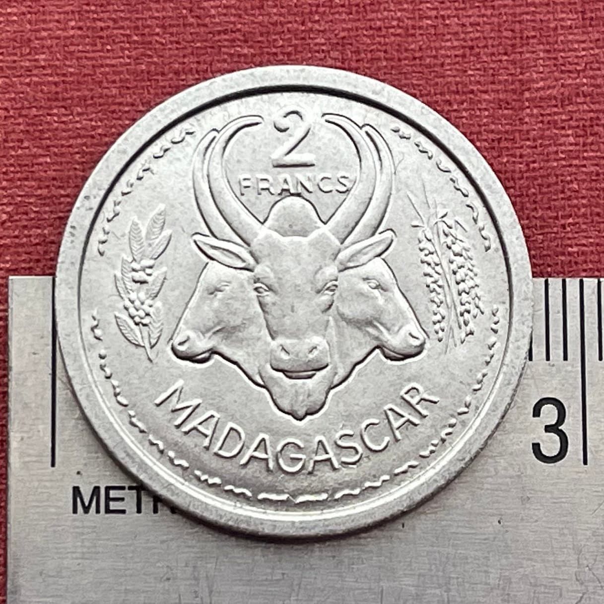 Three Zebu & Marianne in Winged Phrygian Cap 2 Francs Madagascar Authentic Coin Money for Jewelry and Craft Making (Omby) 1948