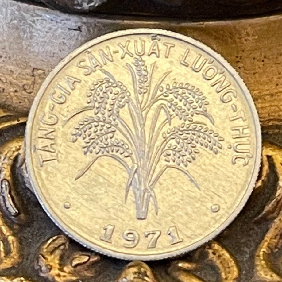 Rice Stalks 1 Dong Vietnam Authentic Coin Money for Jewelry and Craft Making (South Vietnam) (1971)