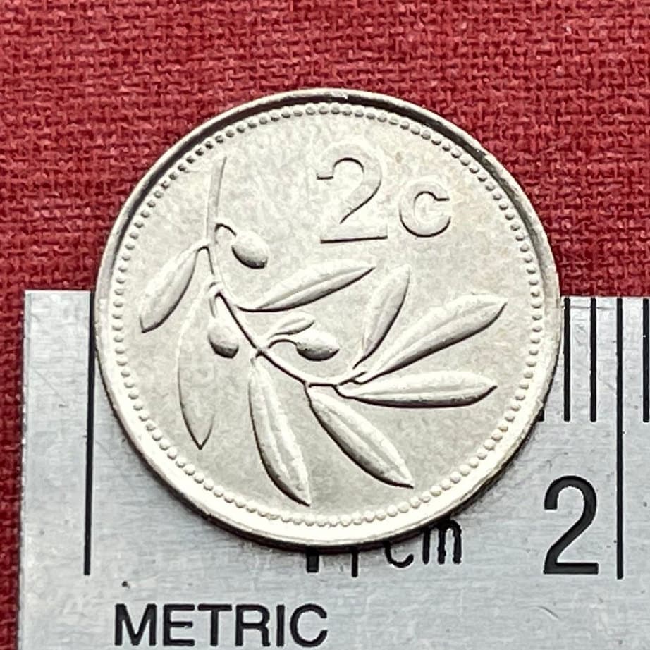 Olive Branch 2 Cents Malta Authentic Coin Money for Jewelry and Craft Making (Peace) (Victory)
