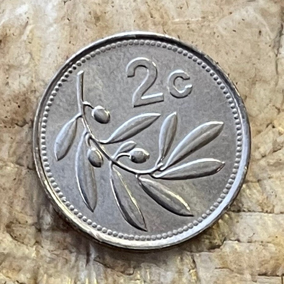 Olive Branch 2 Cents Malta Authentic Coin Money for Jewelry and Craft Making (Peace) (Victory)