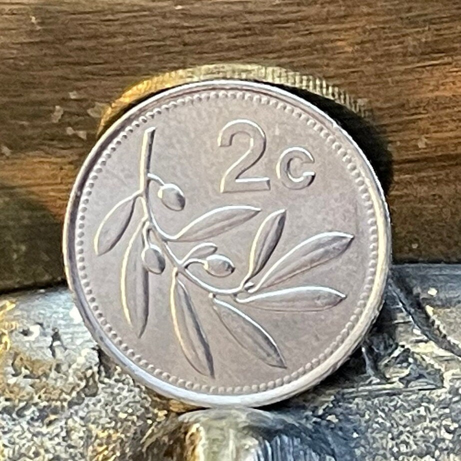 Olive Branch 2 Cents Malta Authentic Coin Money for Jewelry and Craft Making (Peace) (Victory)