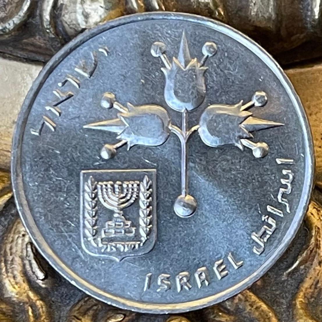 Pomegranates & Two Stars of 8 Rays 1 Lira Israel Authentic Coin Money for Jewelry (Forbidden Fruit) (Rimonim) (Mystic) (Rosh Hashanah)