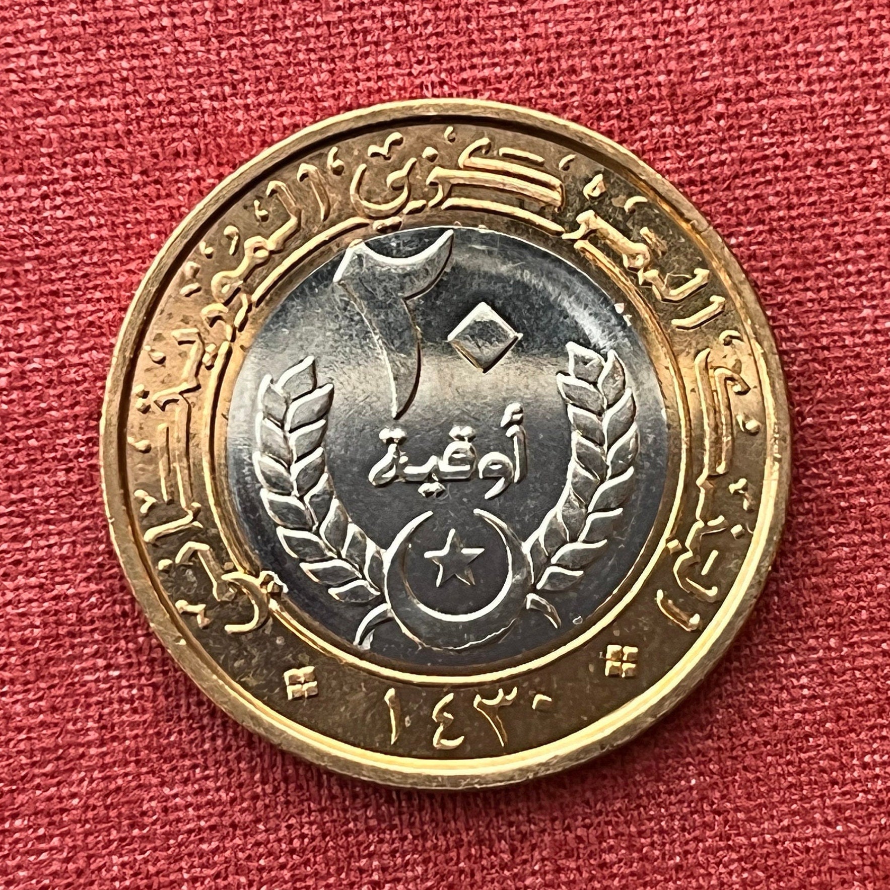 Crescent, Star, Palm Tree, Millet Branch 20 Ouguiya Mauritania Authentic Coin Money for Jewelry and Crafts (Bimetallic) (Islamic Republic)