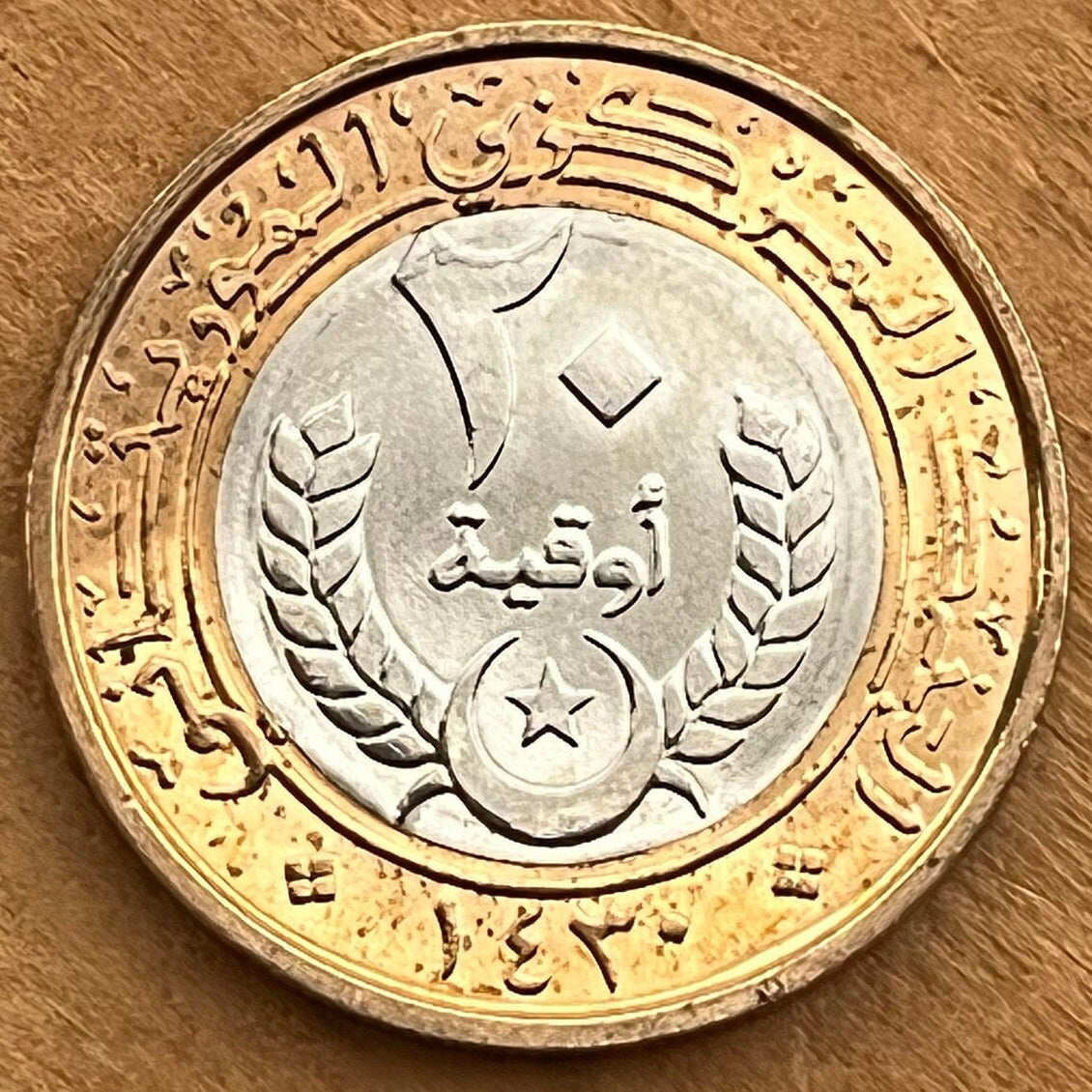 Crescent, Star, Palm Tree, Millet Branch 20 Ouguiya Mauritania Authentic Coin Money for Jewelry and Crafts (Bimetallic) (Islamic Republic)