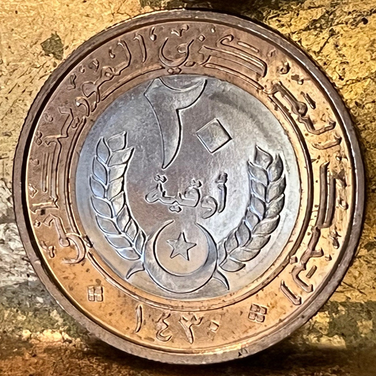 Crescent, Star, Palm Tree, Millet Branch 20 Ouguiya Mauritania Authentic Coin Money for Jewelry and Crafts (Bimetallic) (Islamic Republic)