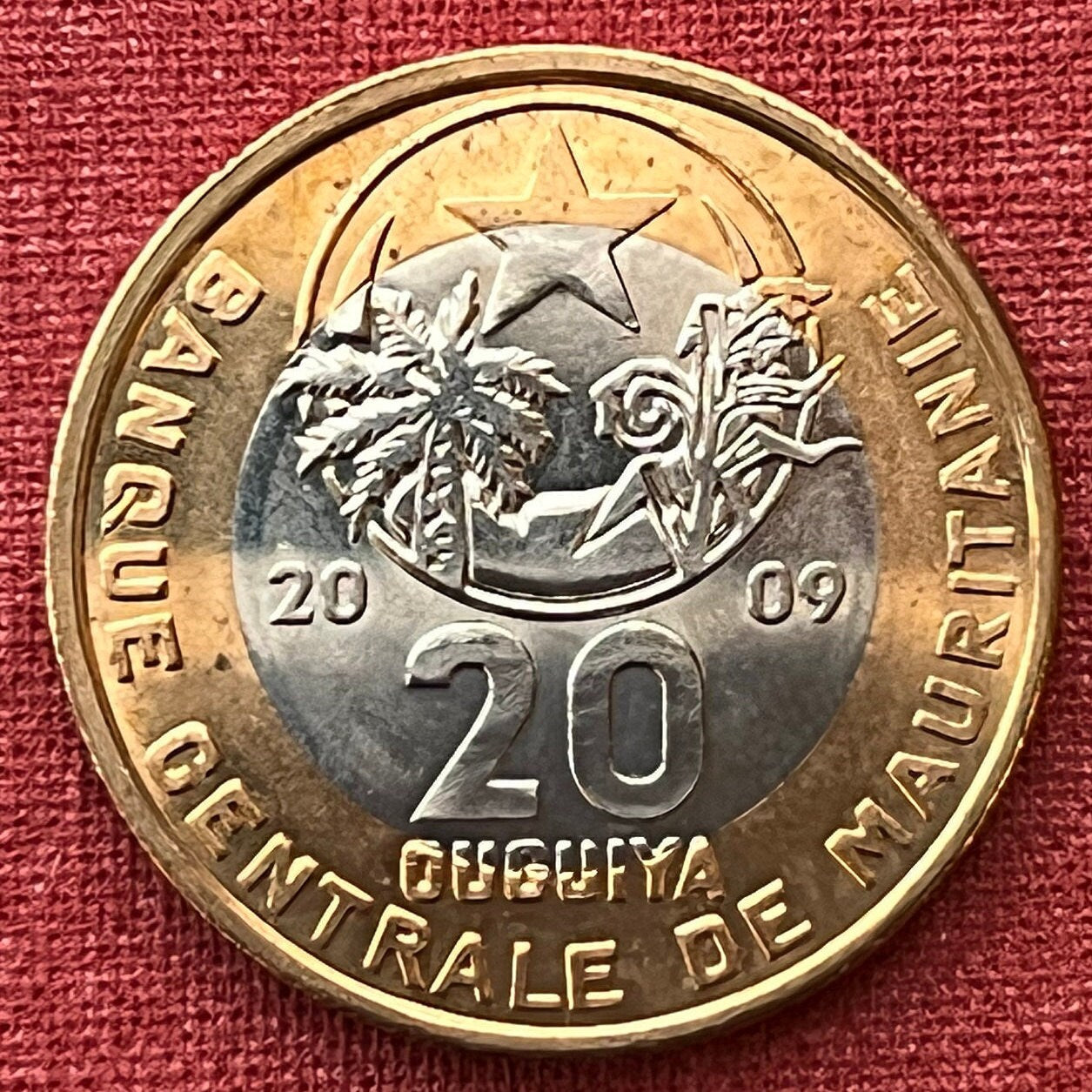 Crescent, Star, Palm Tree, Millet Branch 20 Ouguiya Mauritania Authentic Coin Money for Jewelry and Crafts (Bimetallic) (Islamic Republic)