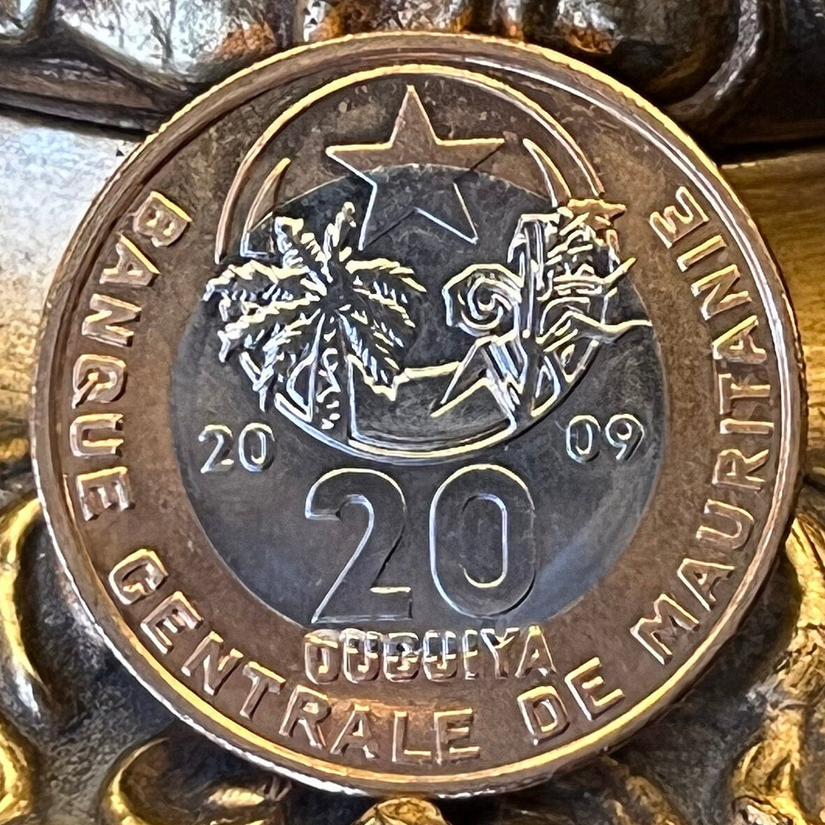 Crescent, Star, Palm Tree, Millet Branch 20 Ouguiya Mauritania Authentic Coin Money for Jewelry and Crafts (Bimetallic) (Islamic Republic)