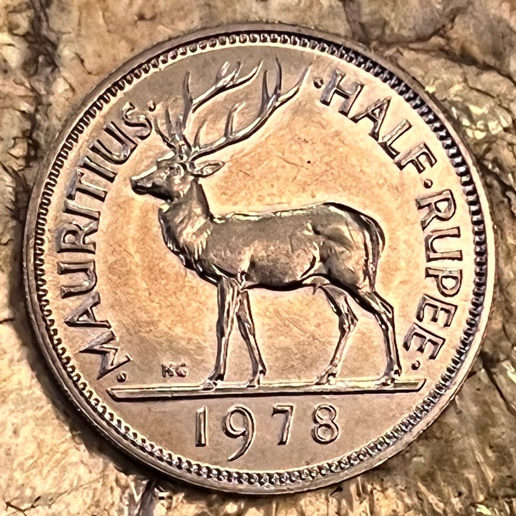 Swamp Deer Half Rupee Mauritius Authentic Coin Money for Jewelry and Craft Making (Barasingha Stag) (Tudor Crown) 1965
