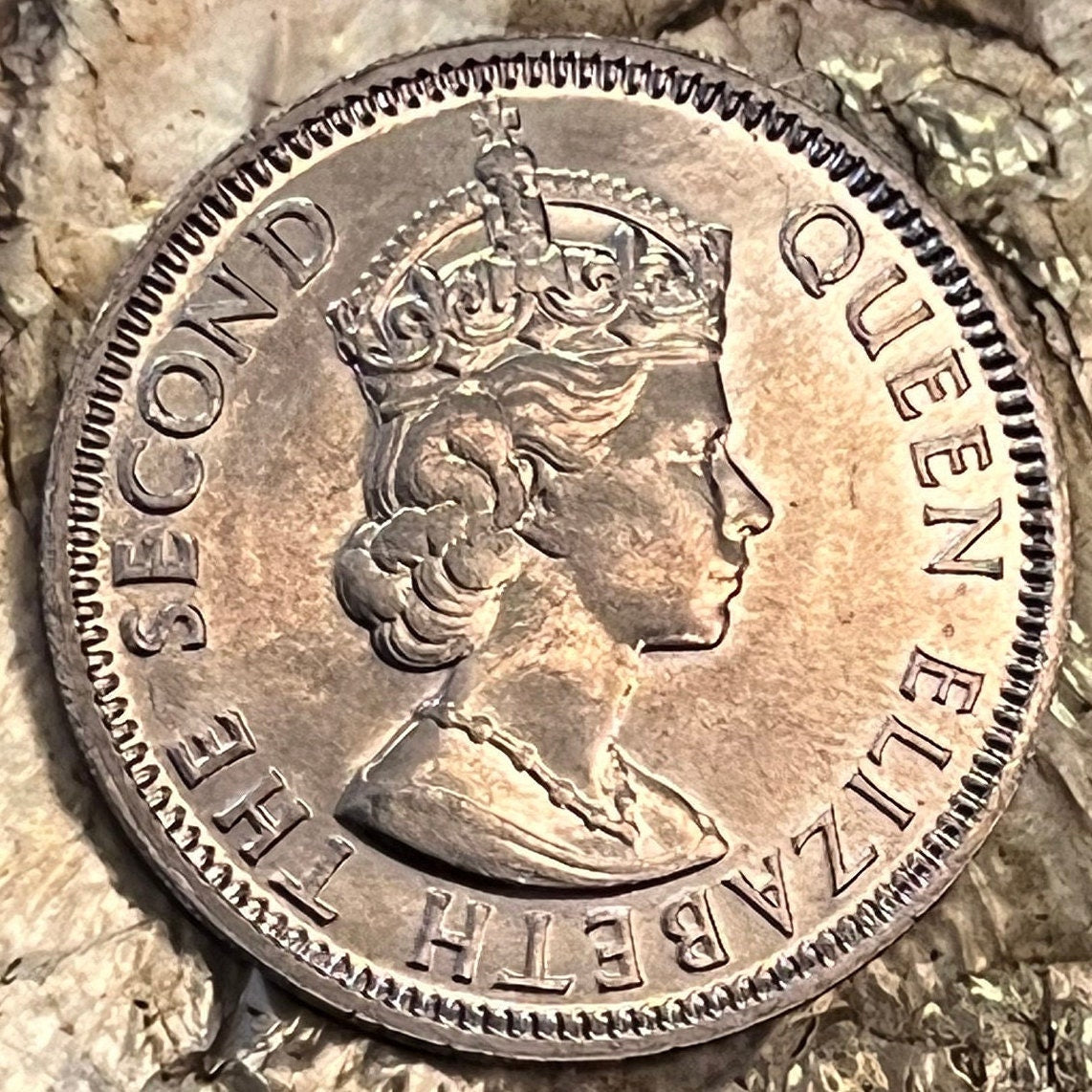 Swamp Deer Half Rupee Mauritius Authentic Coin Money for Jewelry and Craft Making (Barasingha Stag) (Tudor Crown) 1965