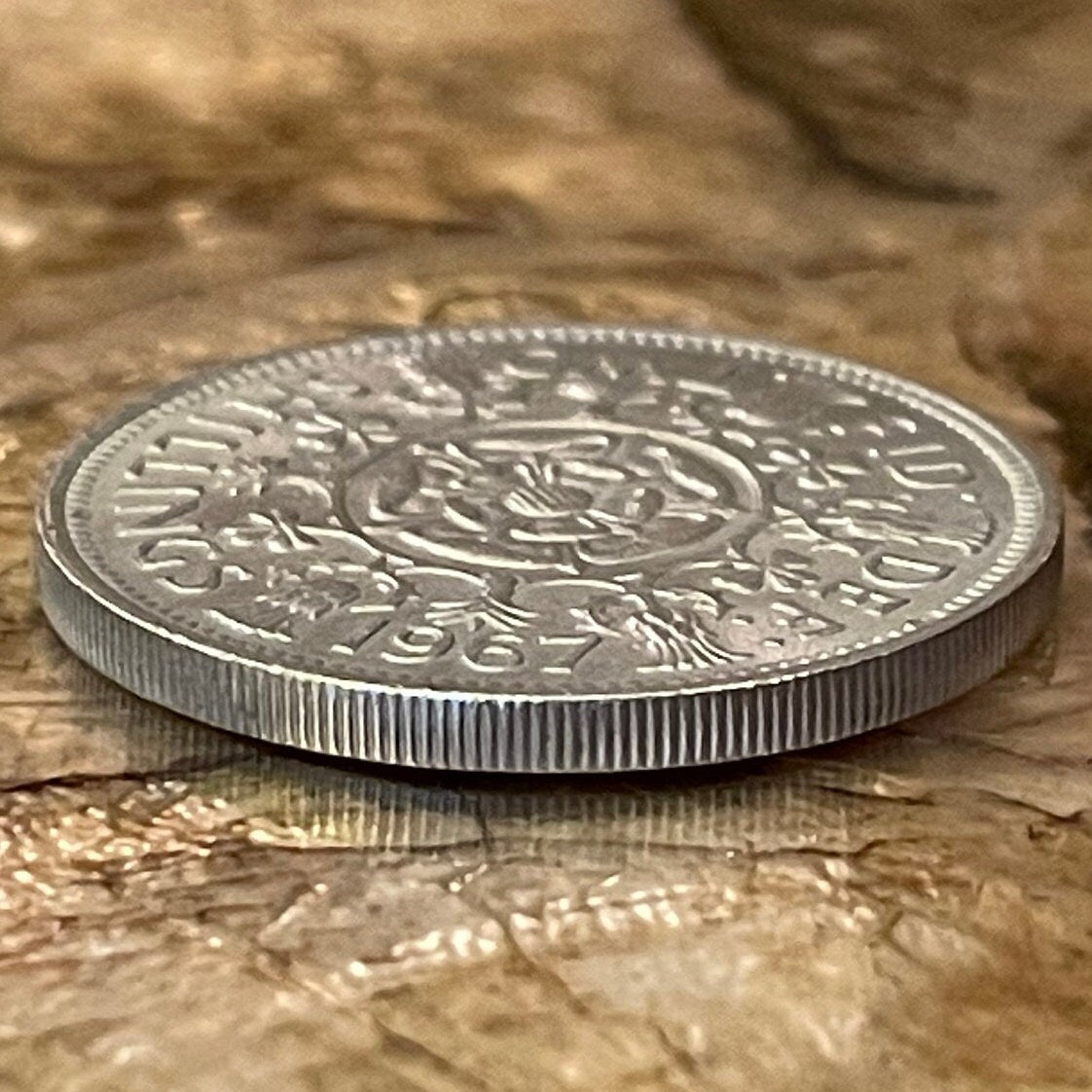 Tudor Rose, Thistle, Shamrock and Leek 1 Florin (2 Shillings) Great Britain Authentic Coin Money for Jewelry and Crafts (Queen Elizabeth)