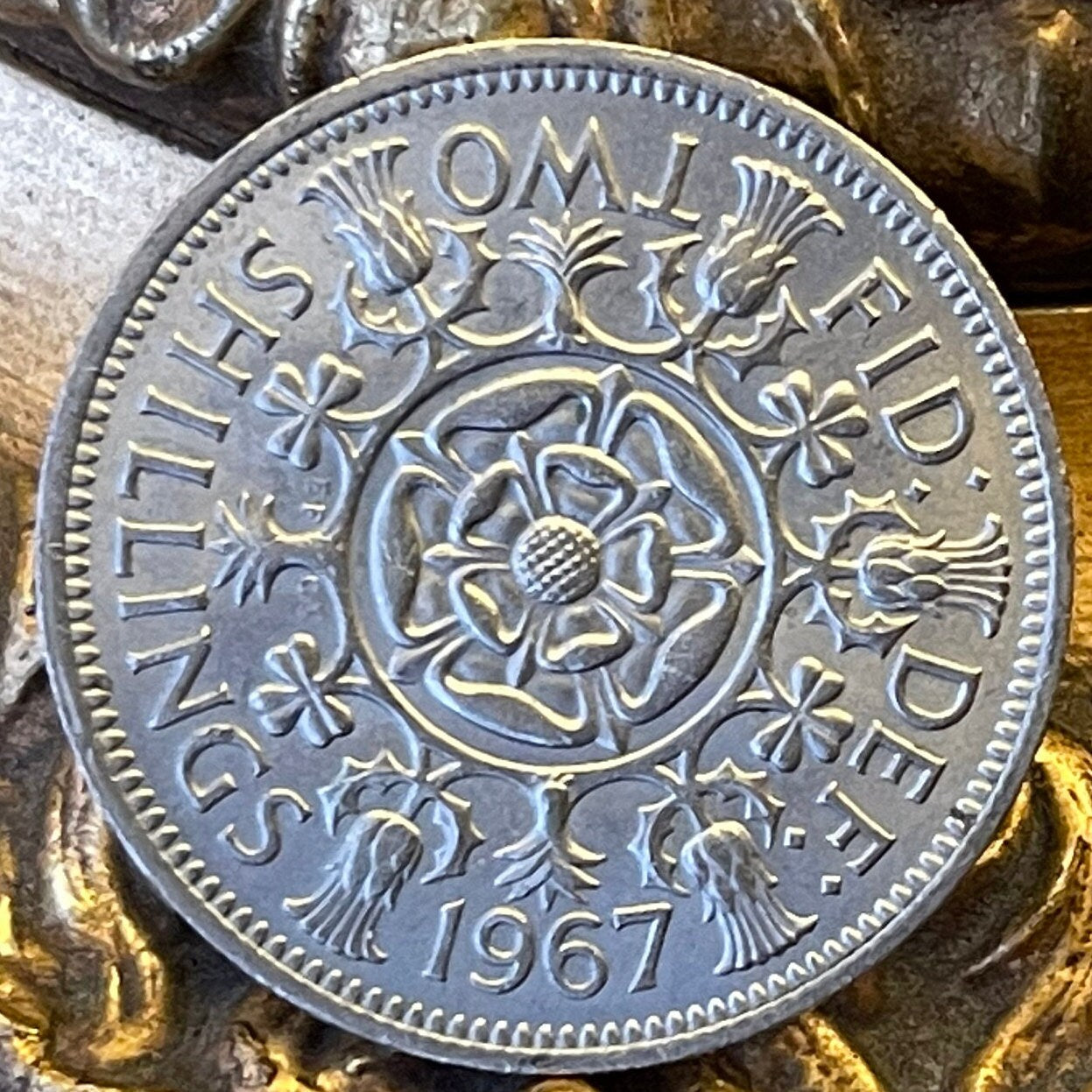 Tudor Rose, Thistle, Shamrock and Leek 1 Florin (2 Shillings) Great Britain Authentic Coin Money for Jewelry and Crafts (Queen Elizabeth)