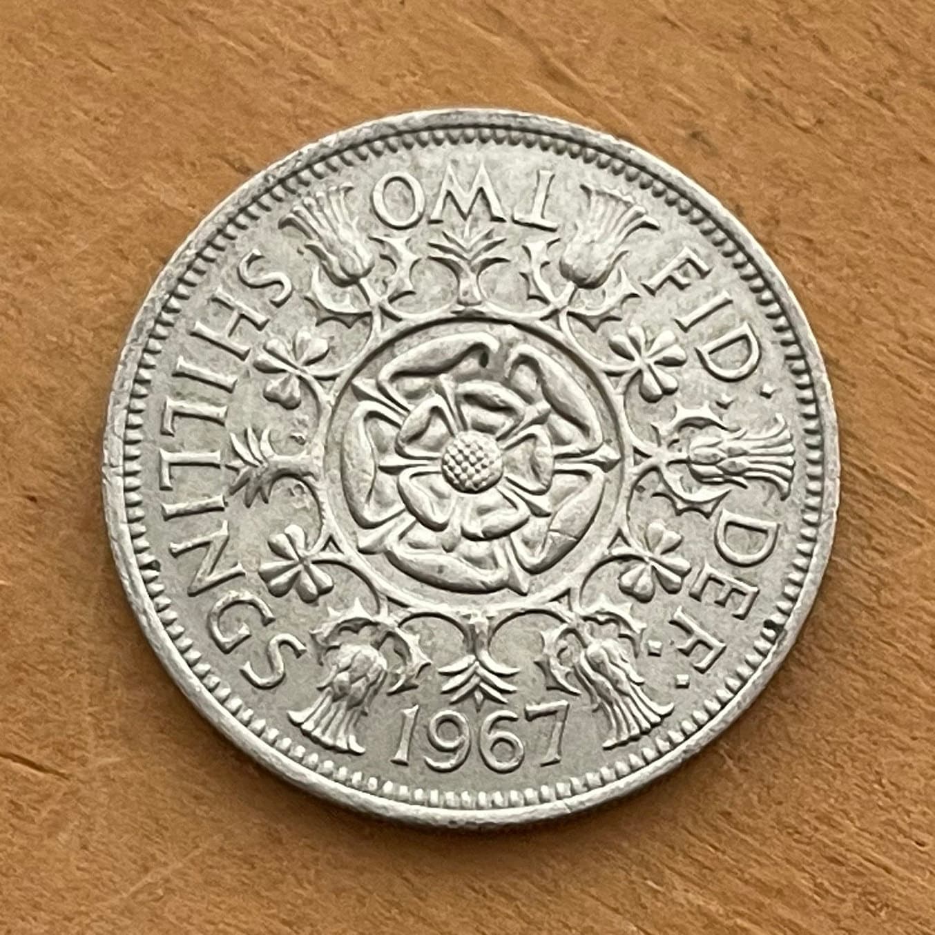 Tudor Rose, Thistle, Shamrock and Leek 1 Florin (2 Shillings) Great Britain Authentic Coin Money for Jewelry and Crafts (Queen Elizabeth)