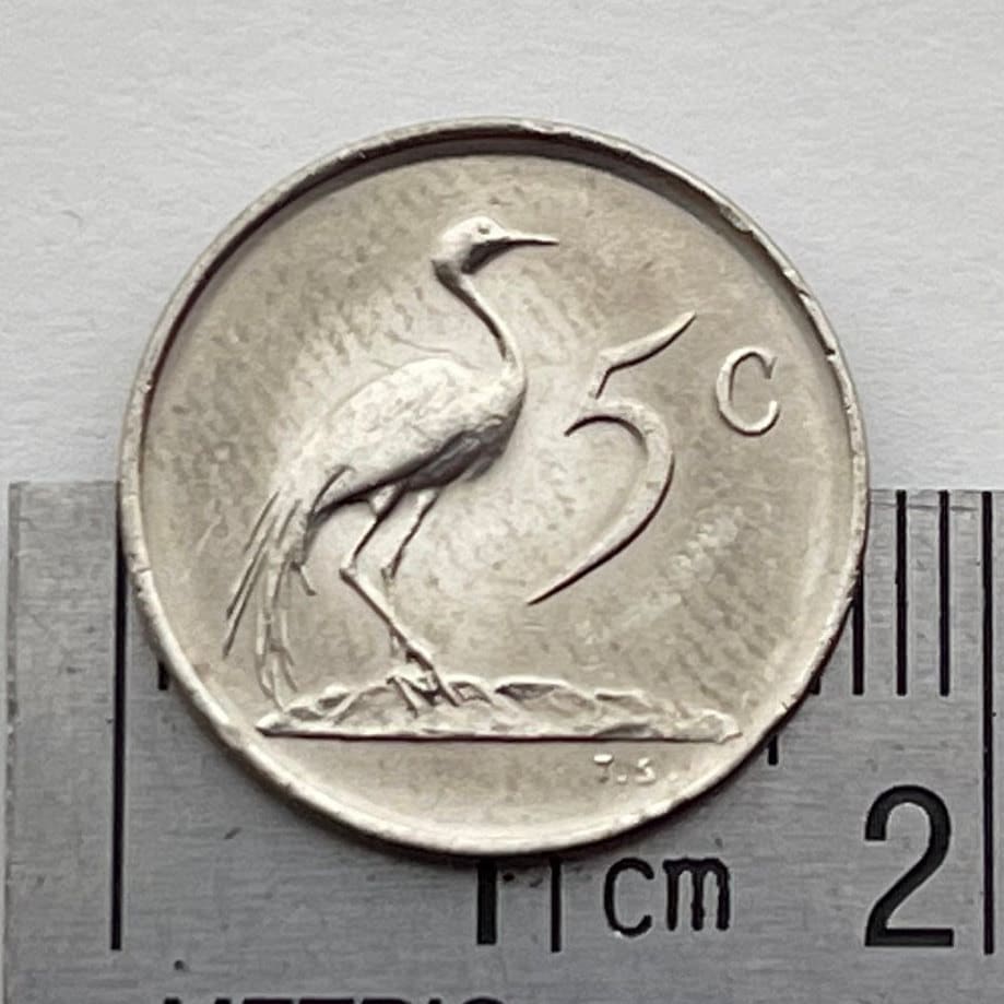Paradise Crane (Nickel) 5 Cents South Africa Authentic Coin Money for Jewelry and Craft Making (Xhosa Hero) (Blue Crane) Power Through Unity