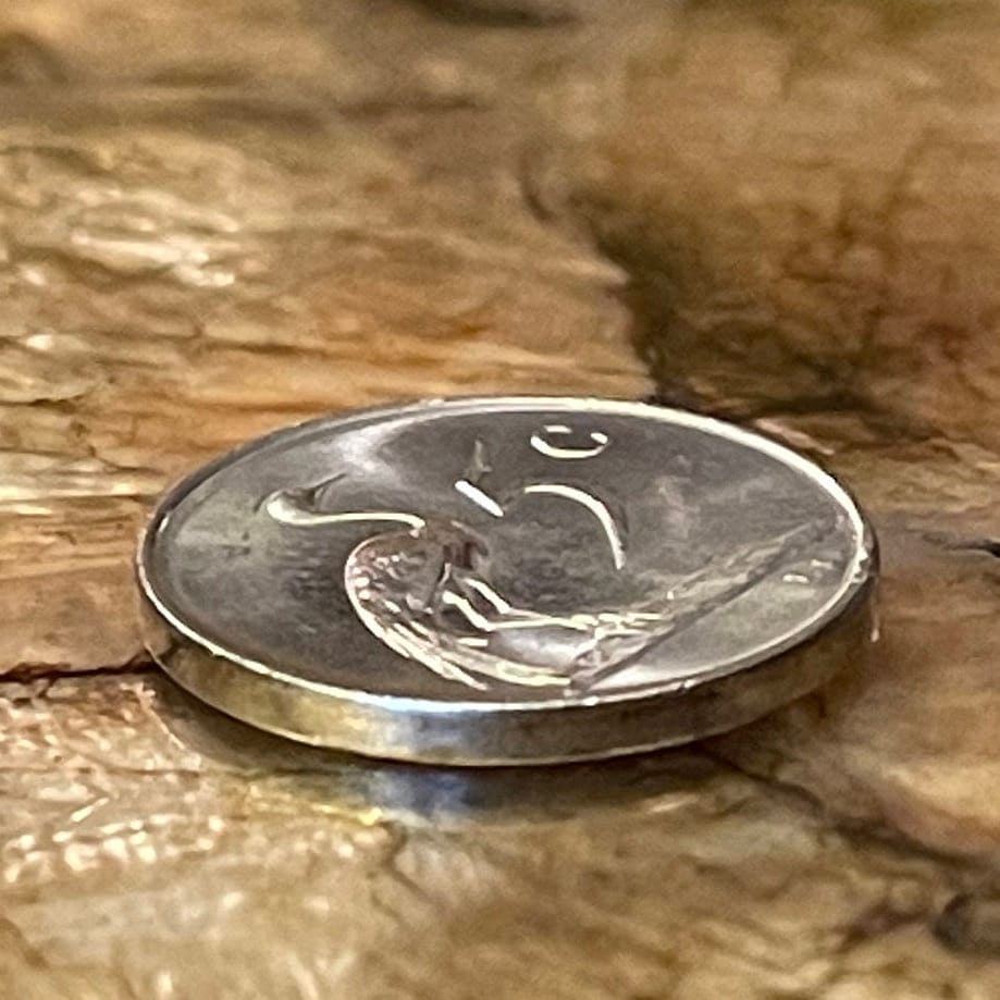 Paradise Crane (Nickel) 5 Cents South Africa Authentic Coin Money for Jewelry and Craft Making (Xhosa Hero) (Blue Crane) Power Through Unity