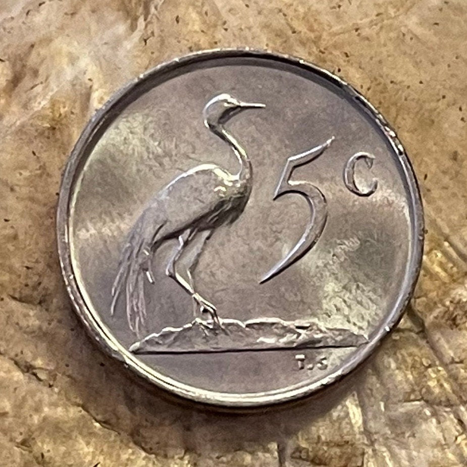 Paradise Crane (Nickel) 5 Cents South Africa Authentic Coin Money for Jewelry and Craft Making (Xhosa Hero) (Blue Crane) Power Through Unity