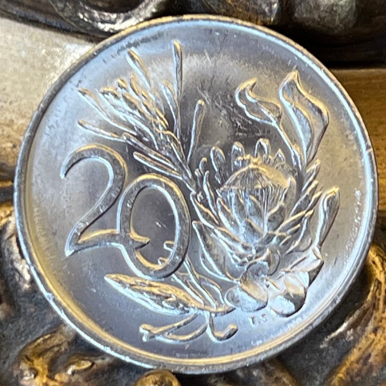 King Sugar Bush 20 Cents South Africa Authentic Coin Money for Jewelry and Craft Making (King Protea) (Power Through Unity)