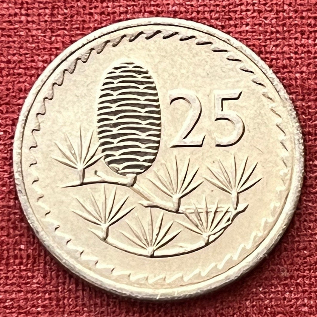Cedar Cone & Dove with Olive Twig 25 Mils Cyprus Authentic Coin Money for Jewelry and Craft Making (Gilgamesh) (1960) (Pine Cone)
