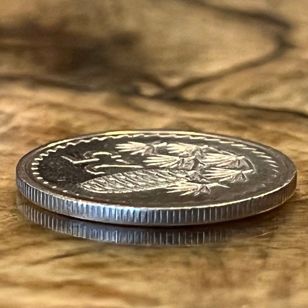 Cedar Cone & Dove with Olive Twig 25 Mils Cyprus Authentic Coin Money for Jewelry and Craft Making (Gilgamesh) (1960) (Pine Cone)