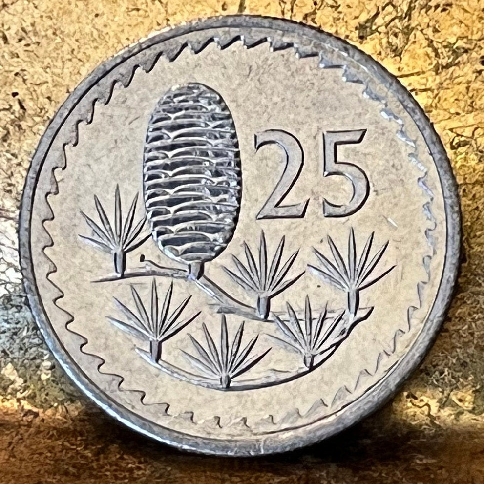 Cedar Cone & Dove with Olive Twig 25 Mils Cyprus Authentic Coin Money for Jewelry and Craft Making (Gilgamesh) (1960) (Pine Cone)