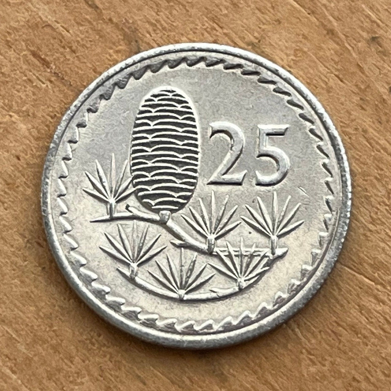 Cedar Cone & Dove with Olive Twig 25 Mils Cyprus Authentic Coin Money for Jewelry and Craft Making (Gilgamesh) (1960) (Pine Cone)