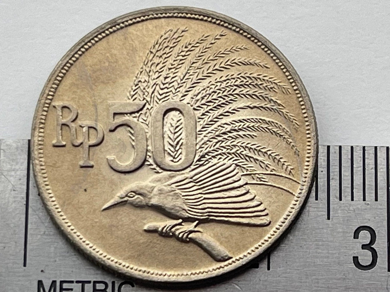 Greater Bird of Paradise 50 Rupiah Indonesia Authentic Coin Money for Jewelry and Craft Making (1971)