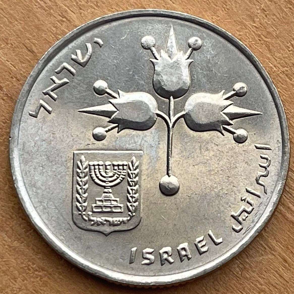 Pomegranates & Two Stars of 8 Rays 1 Lira Israel Authentic Coin Money for Jewelry (Forbidden Fruit) (Rimonim) (Mystic) (Rosh Hashanah)