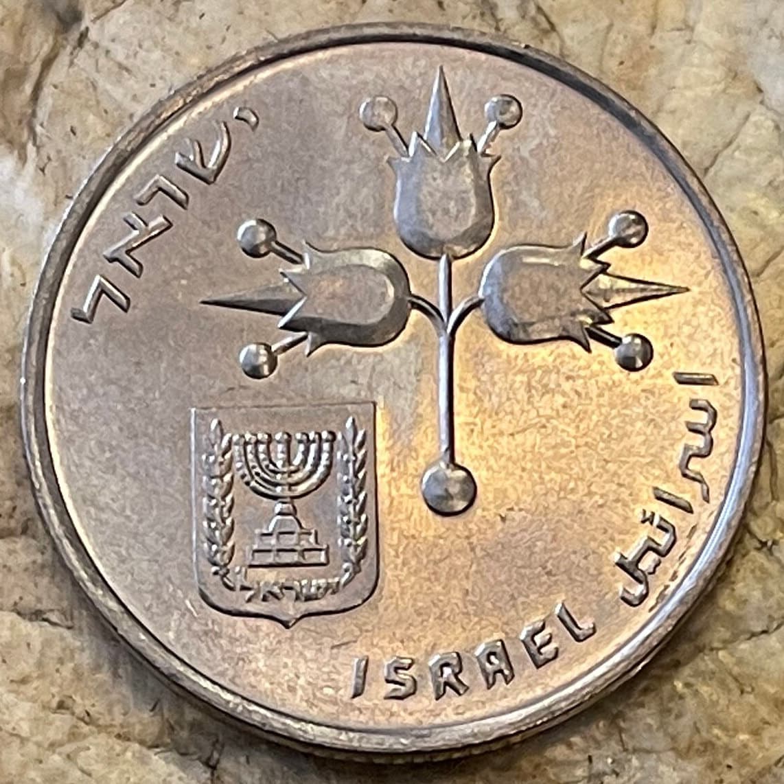 Pomegranates & Two Stars of 8 Rays 1 Lira Israel Authentic Coin Money for Jewelry (Forbidden Fruit) (Rimonim) (Mystic) (Rosh Hashanah)