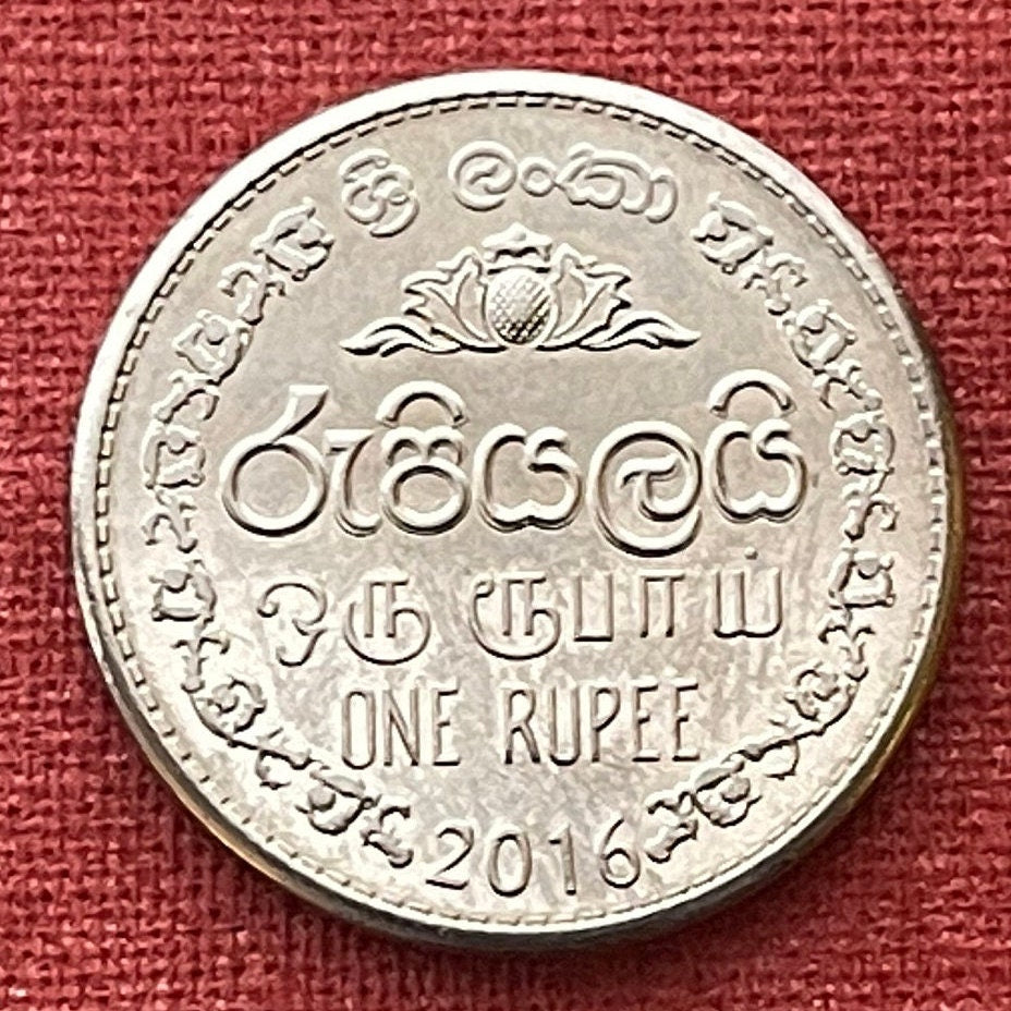 Wheel of Dharma 1 Rupee & Lion with Sword Sri Lanka Authentic Coin Money for Jewelry and Craft Making (Dharmachakra) (Dhammacakka) 2016