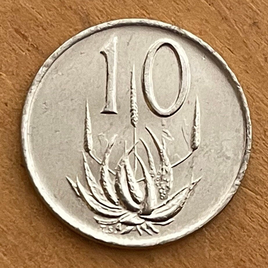 Mopane Aloe 10 Cents South Africa Authentic Coin Money for Jewelry and Craft Making (Power Through Unity) (Lotion)