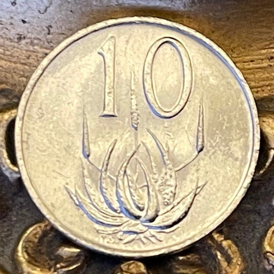 Mopane Aloe 10 Cents South Africa Authentic Coin Money for Jewelry and Craft Making (Power Through Unity) (Lotion)