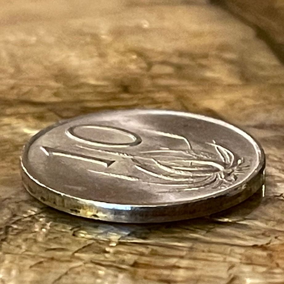 Mopane Aloe 10 Cents South Africa Authentic Coin Money for Jewelry and Craft Making (Power Through Unity) (Lotion)