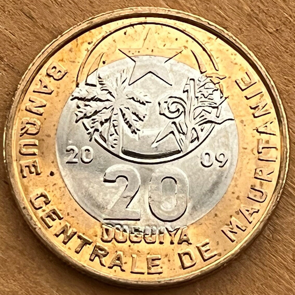 Crescent, Star, Palm Tree, Millet Branch 20 Ouguiya Mauritania Authentic Coin Money for Jewelry and Crafts (Bimetallic) (Islamic Republic)