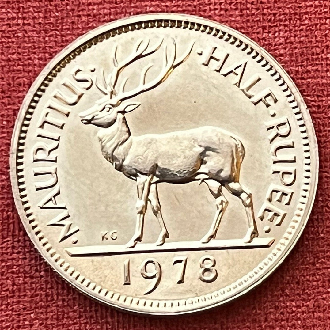 Swamp Deer Half Rupee Mauritius Authentic Coin Money for Jewelry and Craft Making (Barasingha Stag) (Tudor Crown) 1965