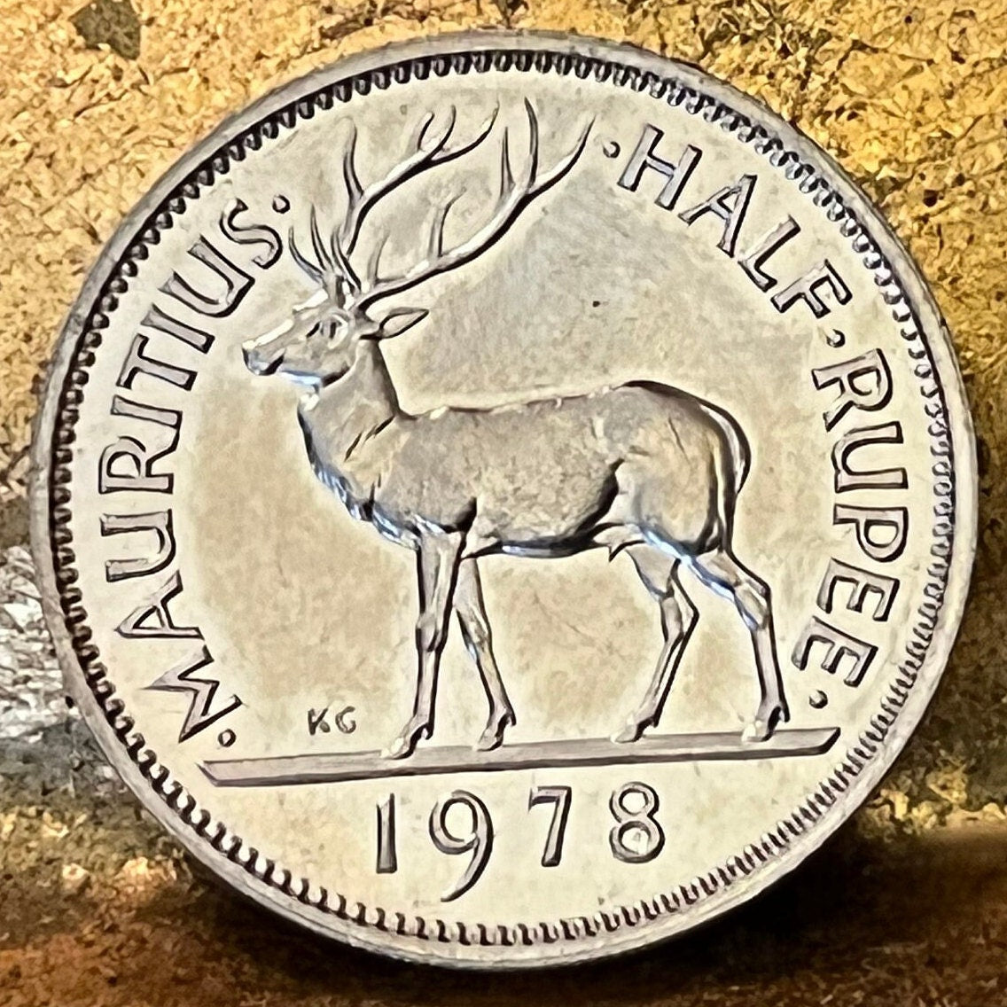 Swamp Deer Half Rupee Mauritius Authentic Coin Money for Jewelry and Craft Making (Barasingha Stag) (Tudor Crown) 1965