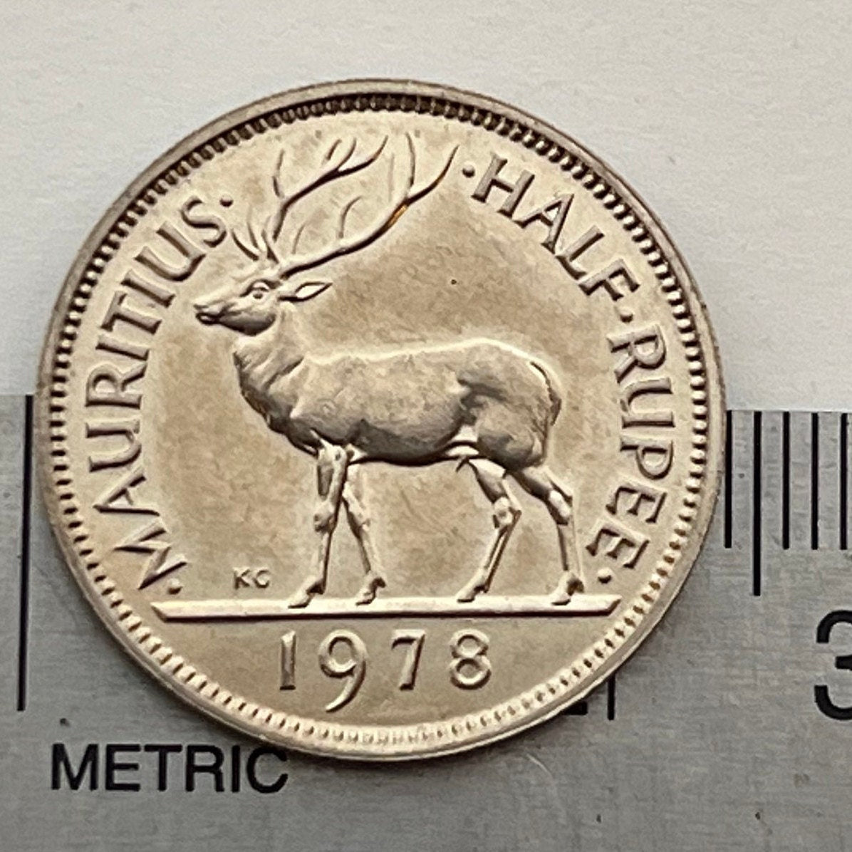 Swamp Deer Half Rupee Mauritius Authentic Coin Money for Jewelry and Craft Making (Barasingha Stag) (Tudor Crown) 1965