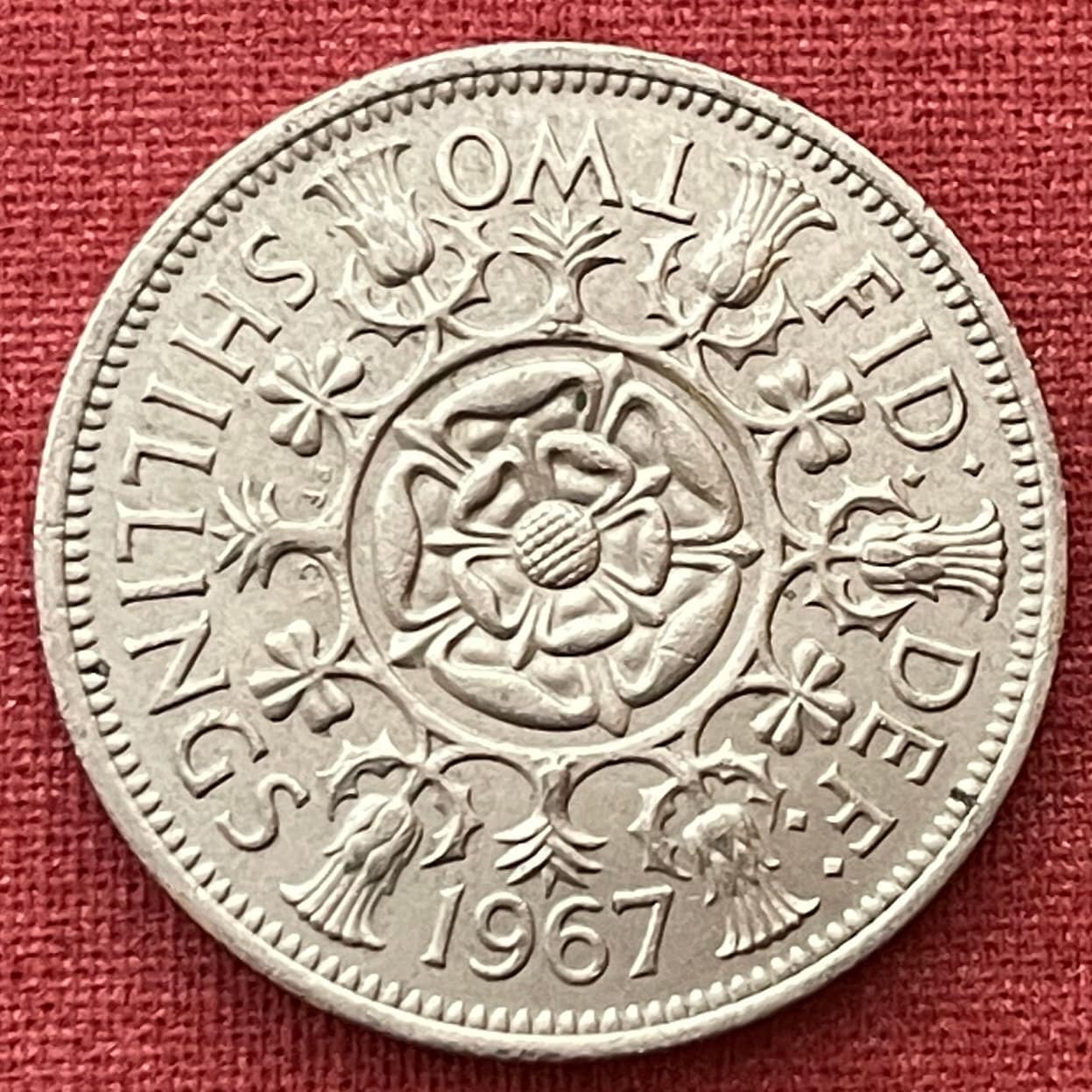 Tudor Rose, Thistle, Shamrock and Leek 1 Florin (2 Shillings) Great Britain Authentic Coin Money for Jewelry and Crafts (Queen Elizabeth)